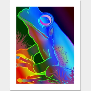 Rainbow Frog Posters and Art